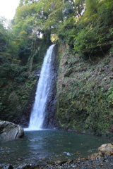 養老の滝