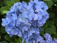 F313846E-C959-453B-9031-29CF2FFA0A22