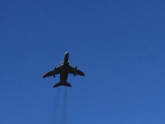 IMG_8895