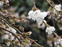 F55E9C8E-B6E8-450F-B83D-D44CDABAA568