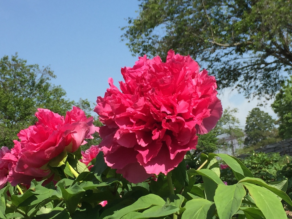 93D53858-C778-4B53-ABFC-39A5FFCB09B3