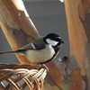 DSCN0572.JPG_1
