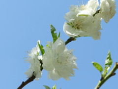 A16A50C3-A883-453E-8212-7A1425B49A70