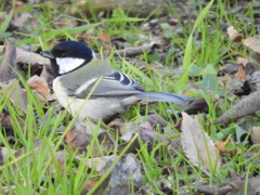 DSCN0544.JPG_1