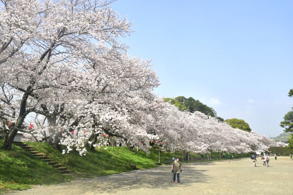 2FE5C611-64F3-4294-B915-CC9729780E69