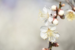 3464F9C6-E255-49C5-A7B9-B98B3B15FD61