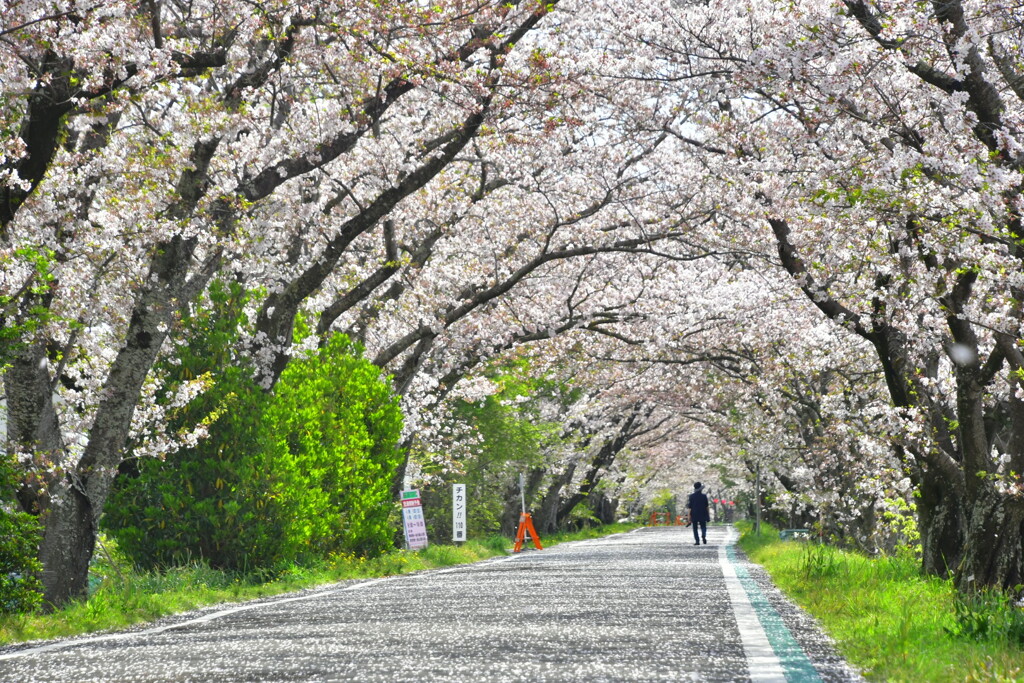 18FA0506-623E-4E1B-AC90-2C216249C7D9