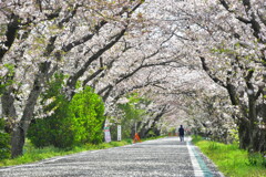 18FA0506-623E-4E1B-AC90-2C216249C7D9