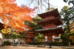 8E0E8328-864D-4F75-A532-D1CB2C815695