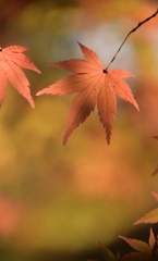 7C4170BD-BF32-4AC6-83DD-553305257BEF