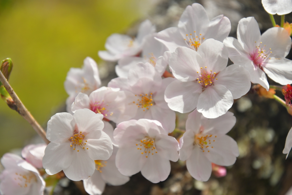 4F49804B-718F-4E55-9743-CA9AA1DCC51F