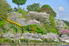 CF50EE8E-A45B-46F5-895D-68DAAC4940A2