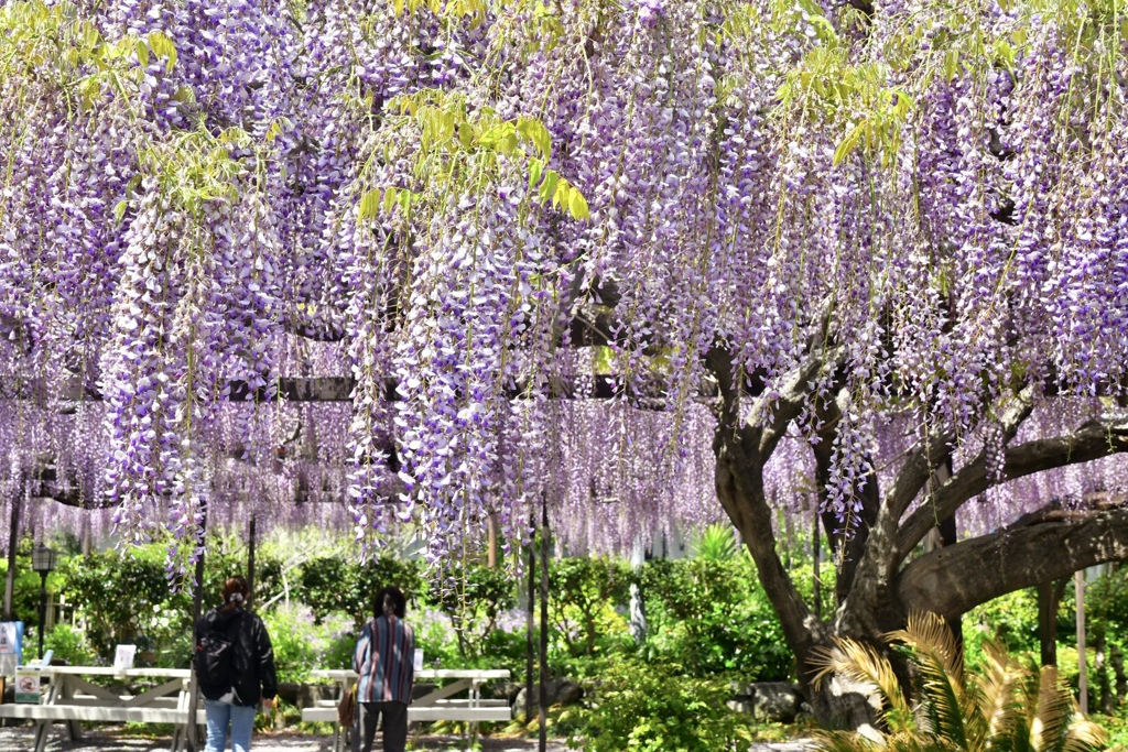 BD09B826-3847-4C0D-BD20-01E1E67013E2