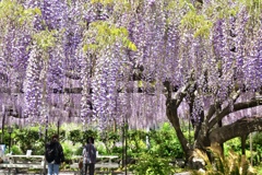 BD09B826-3847-4C0D-BD20-01E1E67013E2