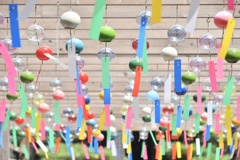 B832EC6E-35F2-4595-8429-3A42FB958E2C