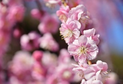 0AED1A1D-68B8-421C-AF4C-96B4D805FD7A