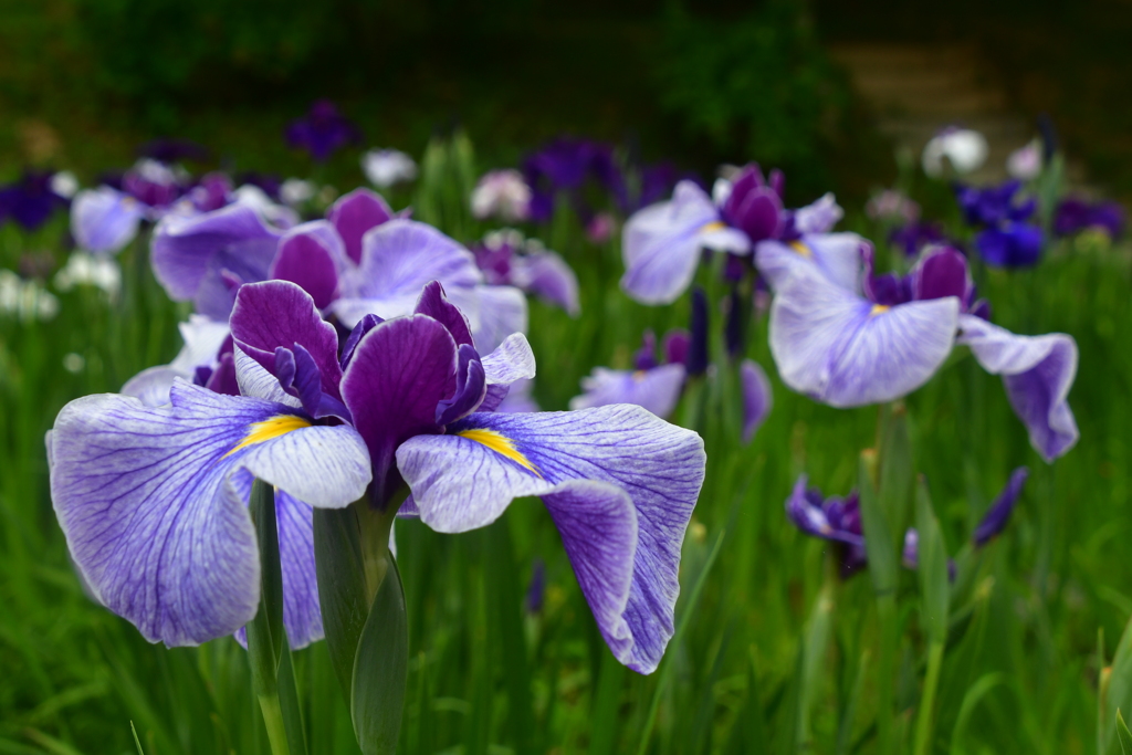 62BDEE85-1F10-4EA5-9F9F-62D48C445C8E