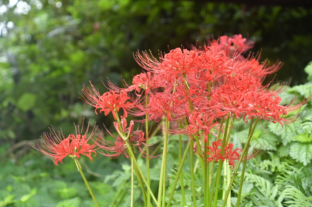 908B91BF-84F2-4388-A614-102548E4B87C