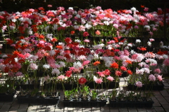 CE613AA2-97B8-4C10-B057-B9A4F9CF8572