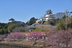 B547094E-651E-4EB0-9A3F-F652FBB9A5AC