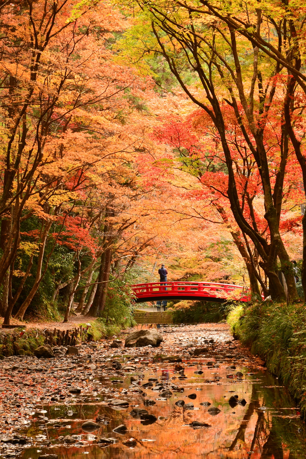 9CC13EF7-5EED-450E-821E-34F83D3B1B83