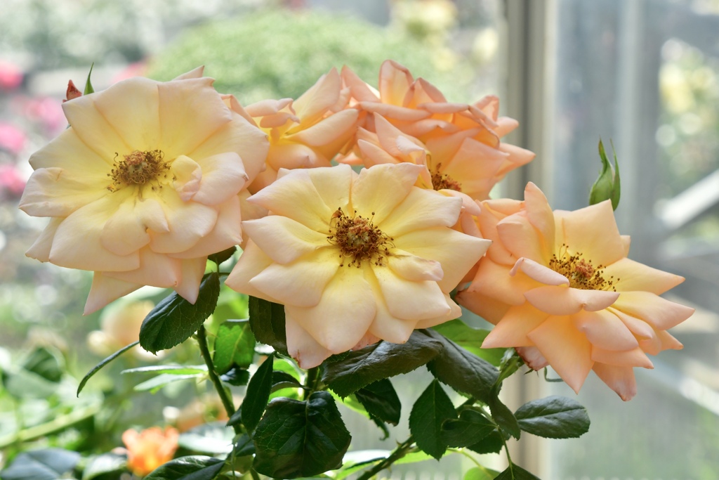 9652C5BE-A07F-4D7F-9B89-DFD489CC601C