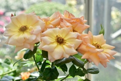 9652C5BE-A07F-4D7F-9B89-DFD489CC601C