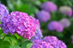 A08850D7-15BE-4FAA-957C-18B9CF2BA864
