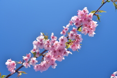 29FB990A-69BD-4E14-BAE6-1DD8ED9F0A77