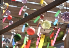 EA9DFDA5-DF6D-4CEF-81E4-27A6BAD14A7F