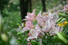 7B4F32DC-575F-484D-9613-F7AEF08D49B3