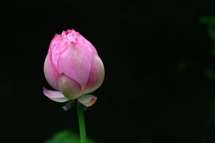 51825E0F-D997-4FFC-A4F8-A4731D956C29