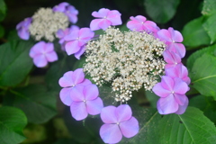 886347F7-590D-4CD6-B4B0-D94877496F1E