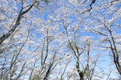 FEABD6E9-7E72-4845-A3B1-8BE175DA84DE