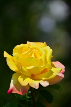 2798A1D5-9A5C-4924-8E43-41DC9E177EAE