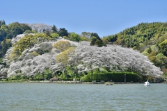 5E2F0318-4D3B-4D00-A3AC-CACE486427EA