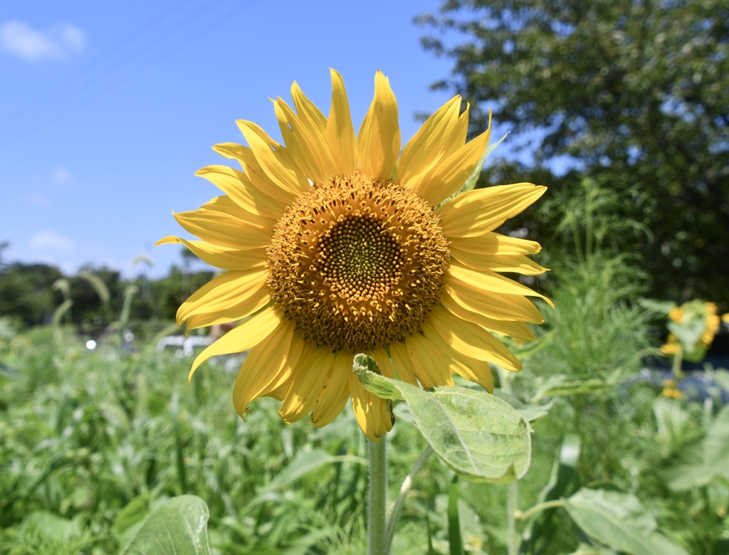 393F728F-7897-4899-AA7E-AAFCEFB2EF8D