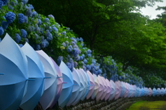 E1B202FF-327D-438E-9C34-F15777DE980B