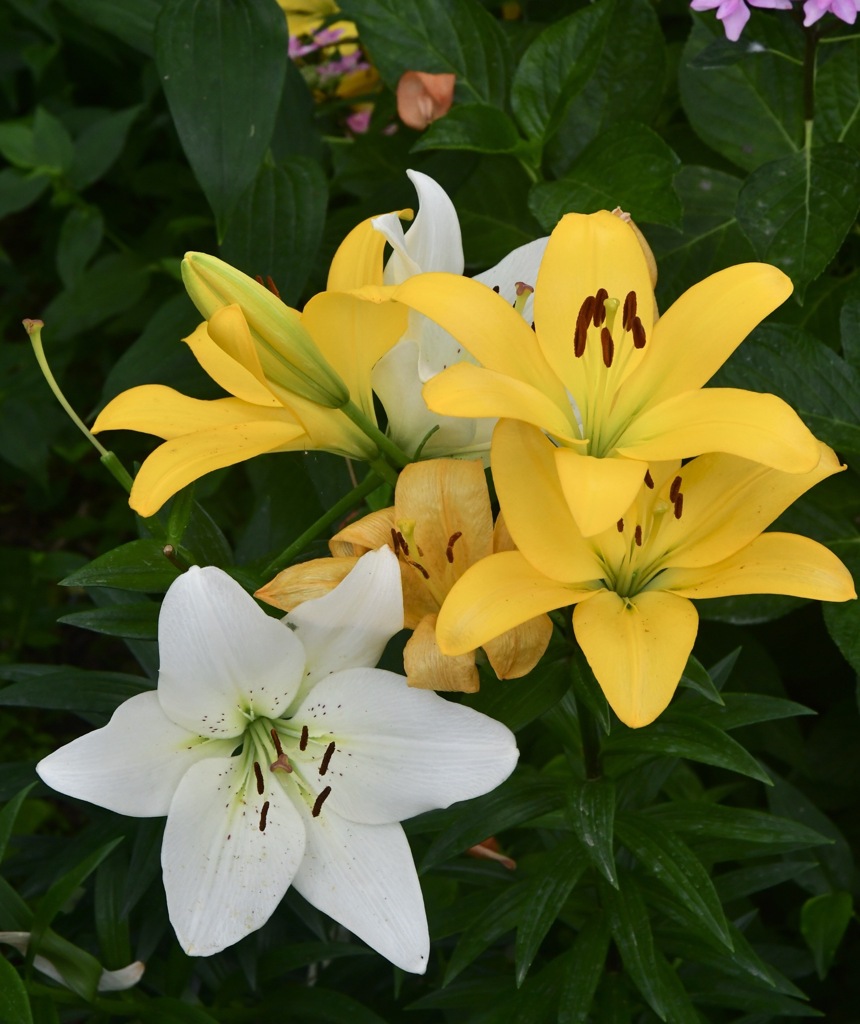 84727363-1246-491F-9124-AA1615C051E0