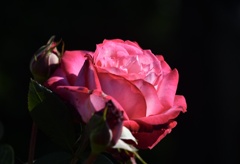 DDED5474-F468-4DEC-A430-E1D1D62317DE