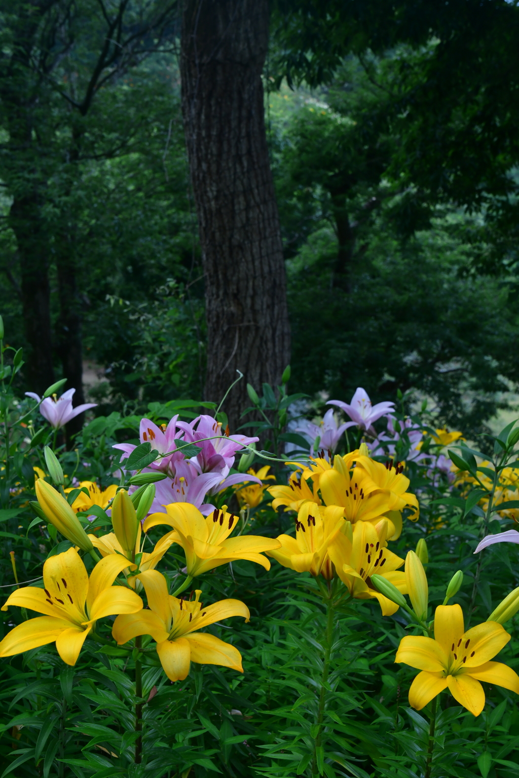 C909D03E-8C7F-4BA0-82B7-C720A5D41A88