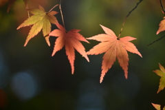 C6EB2958-7F42-4796-9381-0841B3CD4EB6