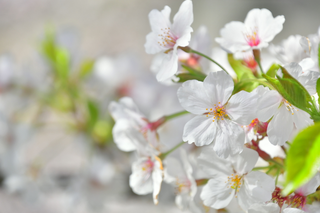 DC4FA591-8B51-4D5E-8FBB-CDD52BBB9296