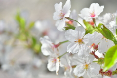 DC4FA591-8B51-4D5E-8FBB-CDD52BBB9296