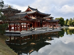 B4F2A616-A393-46A7-911C-7B0E37F72FF1