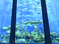 351FEA9F-C036-4FE7-BCD2-0FF7DF0F1729