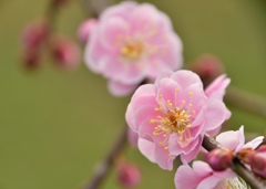 6151A15C-F9EB-417C-AD49-B2C007B79D8F