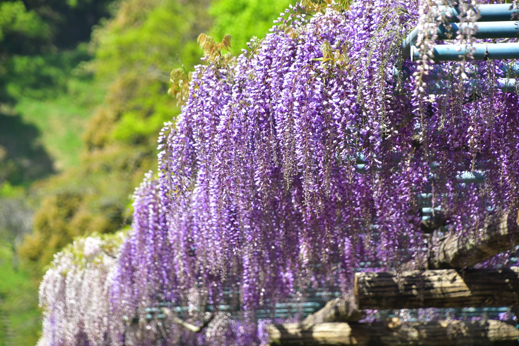 6244EE5F-9DA0-4E97-8BA5-1C865B747B02