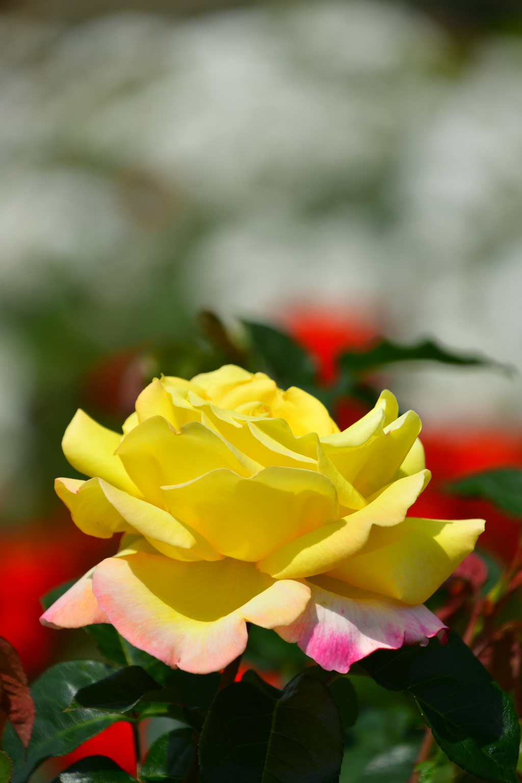 30FDCC6F-6B4B-467F-8B04-277E6A5C39E5
