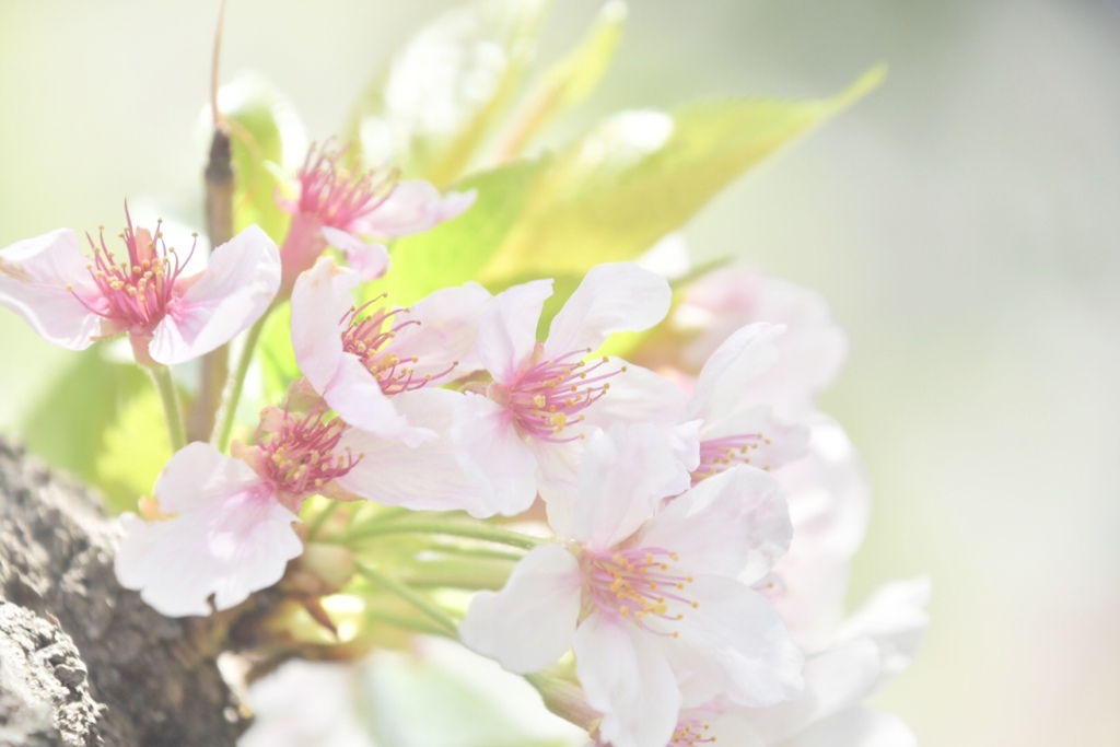 AFD70B95-21B0-4ED8-8848-C1B8A82C96ED